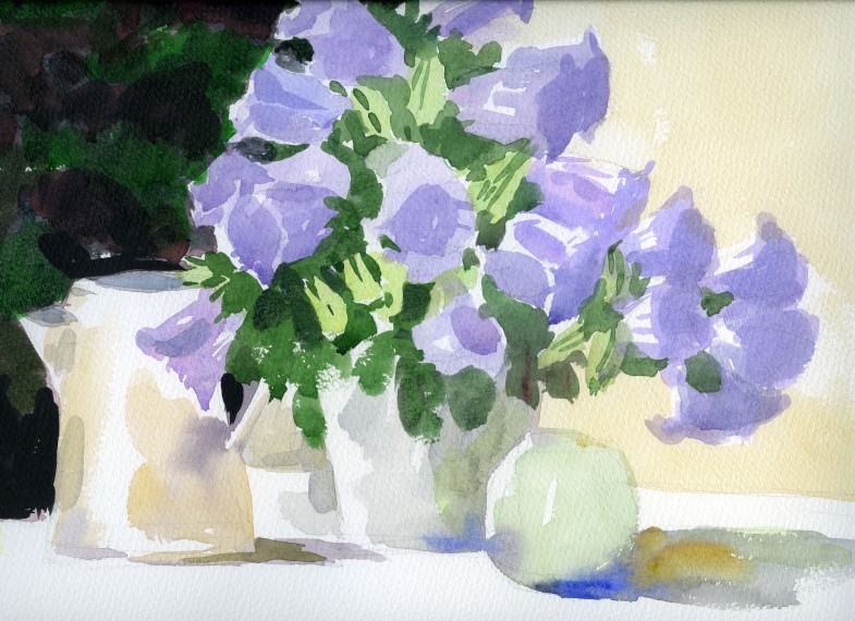 Campanula thiab xiav kua watercolor F6