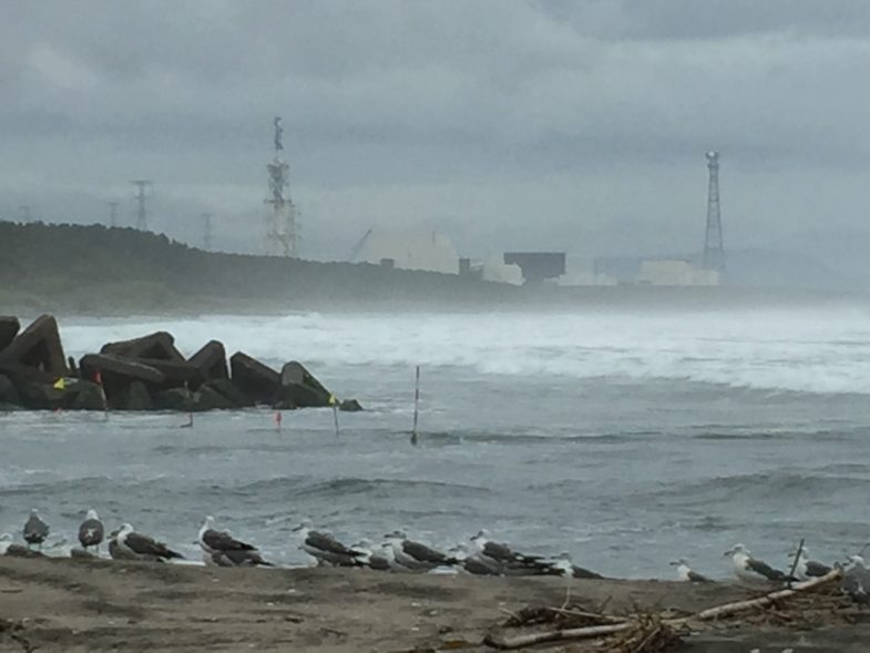 原発とカモメ