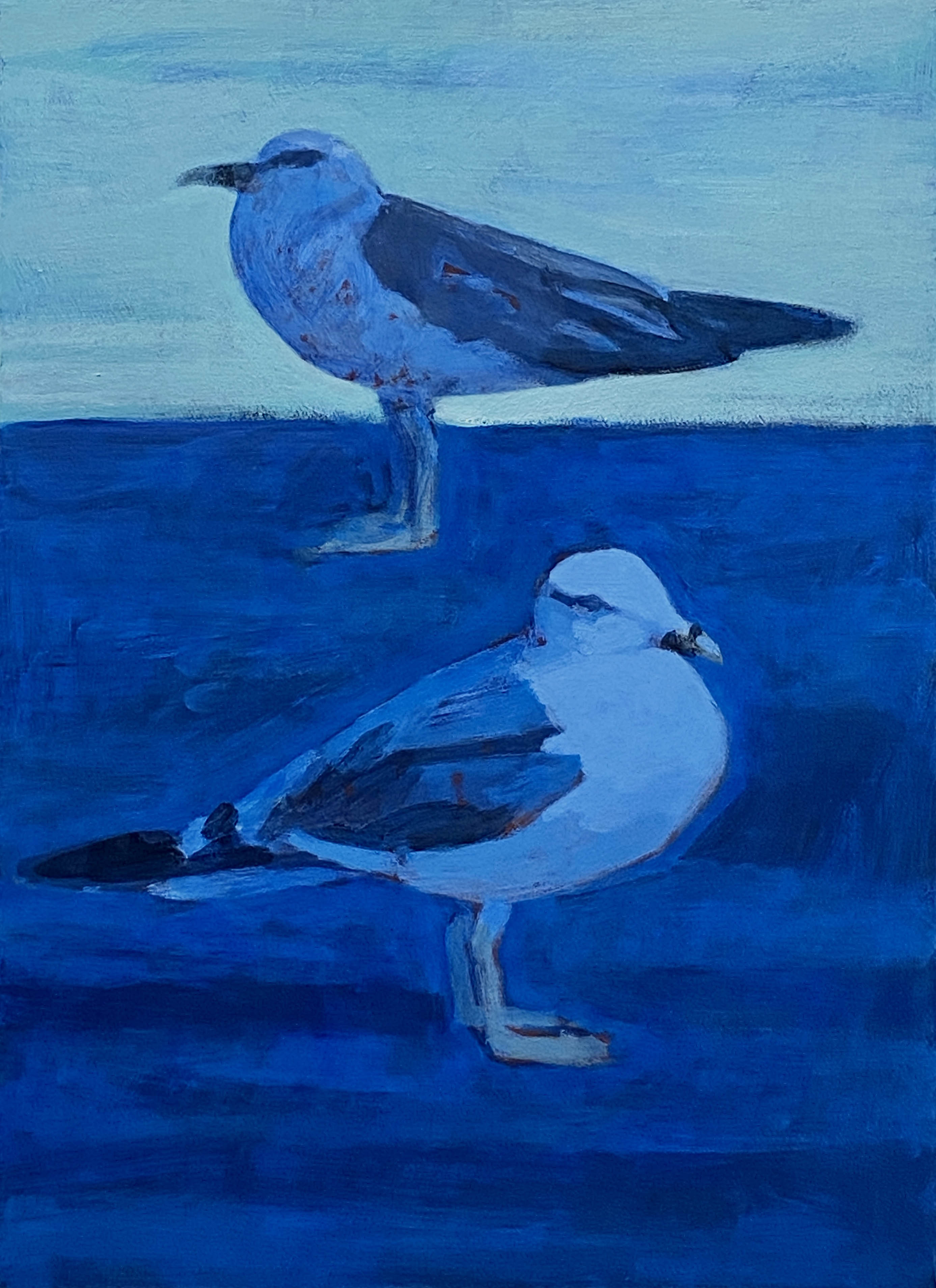 青いカモメ…展